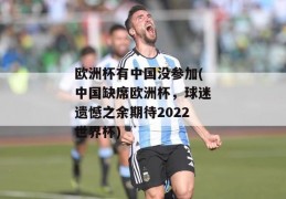 欧洲杯有中国没参加(中国缺席欧洲杯，球迷遗憾之余期待2022世界杯)