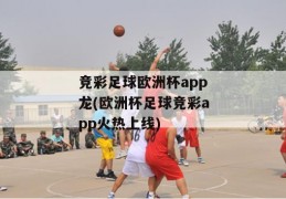 竞彩足球欧洲杯app龙(欧洲杯足球竞彩app火热上线)