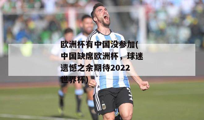 欧洲杯有中国没参加(中国缺席欧洲杯，球迷遗憾之余期待2022世界杯)