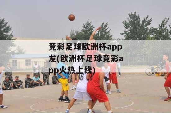 竞彩足球欧洲杯app龙(欧洲杯足球竞彩app火热上线)